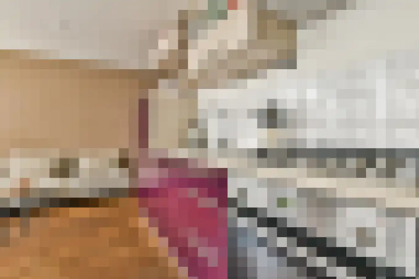 Nova Zemblastraat 437 Amsterdam thumbnail 6