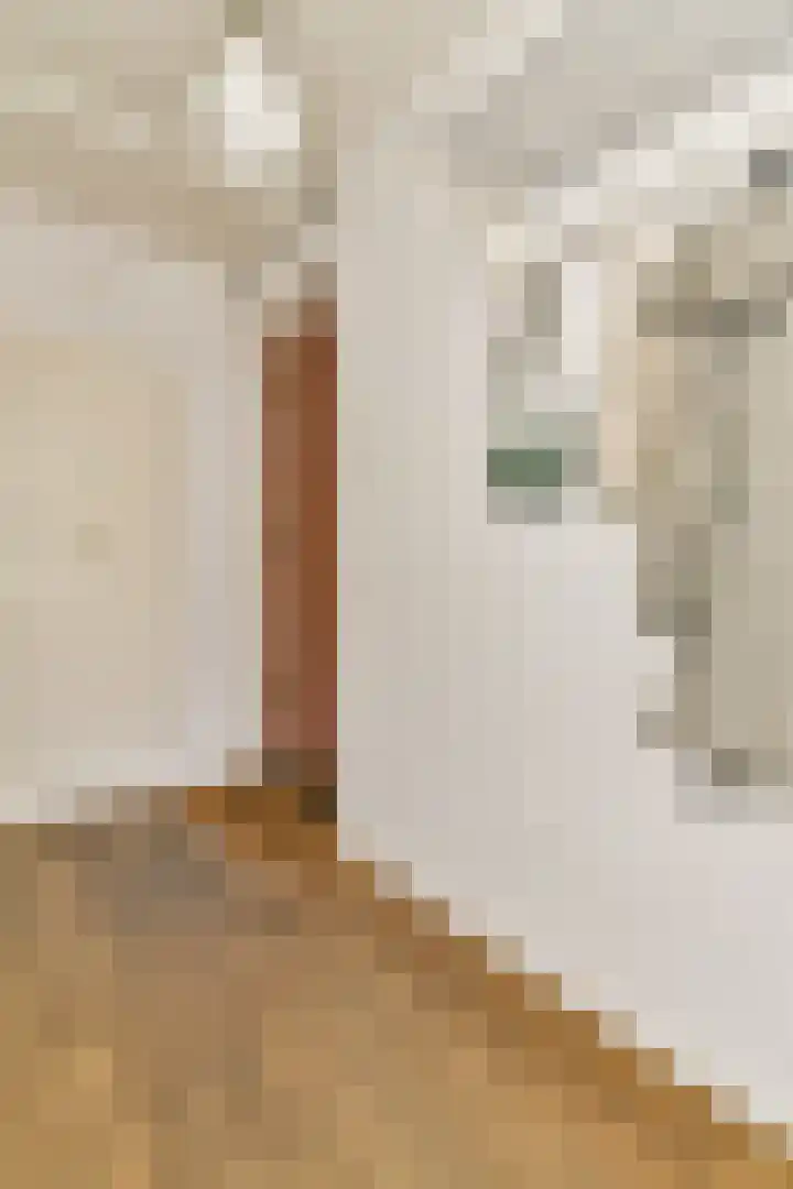 Nova Zemblastraat 95 Amsterdam thumbnail 11