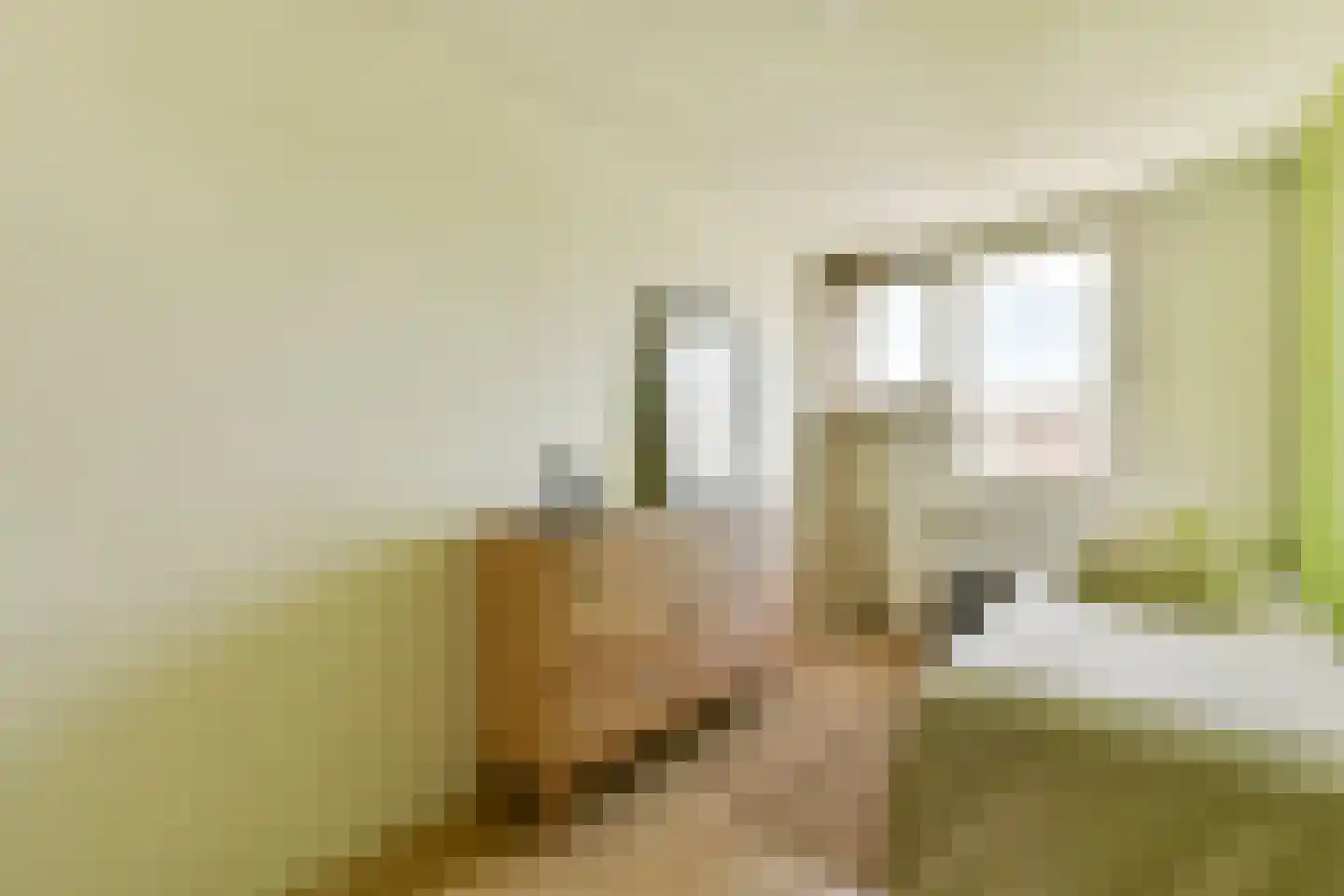 Nova Zemblastraat 95 Amsterdam thumbnail 23