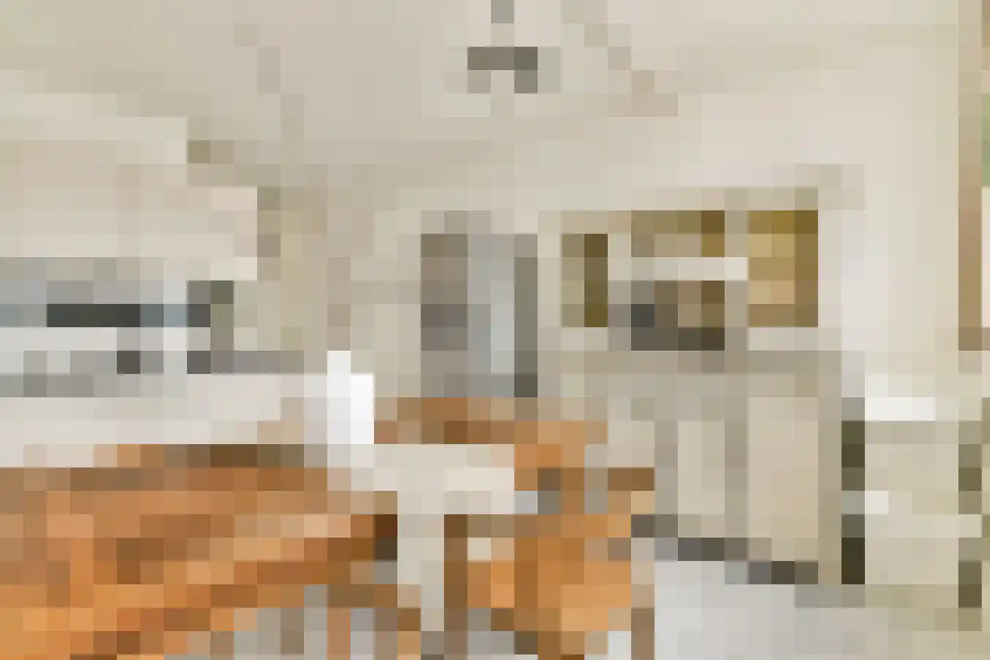 Nova Zemblastraat 95 Amsterdam thumbnail 4