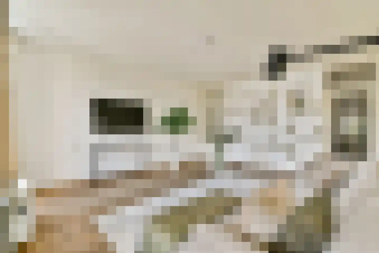 Nova Zemblastraat 95 Amsterdam thumbnail 7
