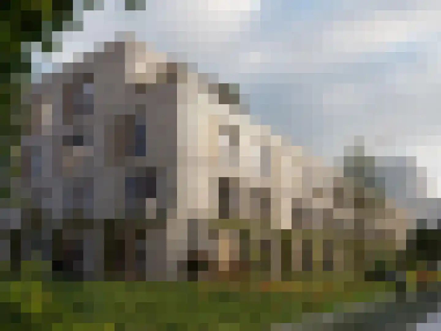 Novahof 59 Arnhem thumbnail 5