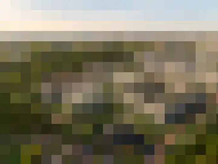 Novahof 59 Arnhem thumbnail 7