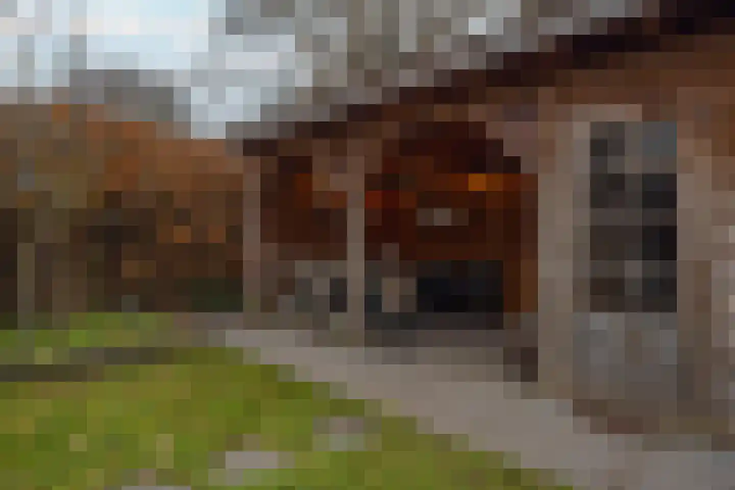 Novahof 71 Arnhem thumbnail 6
