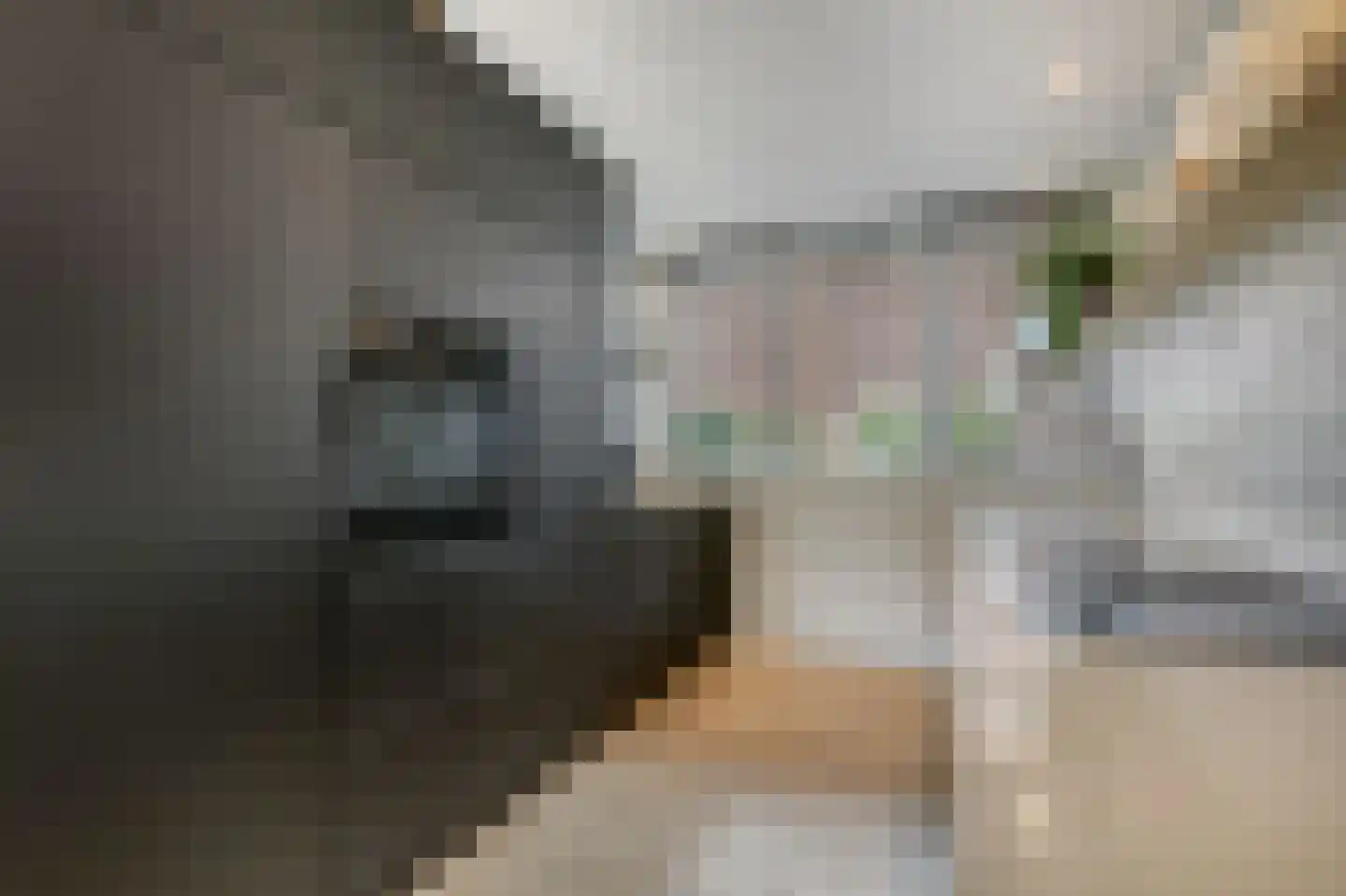 Novalaan 1 A Arnhem thumbnail 10