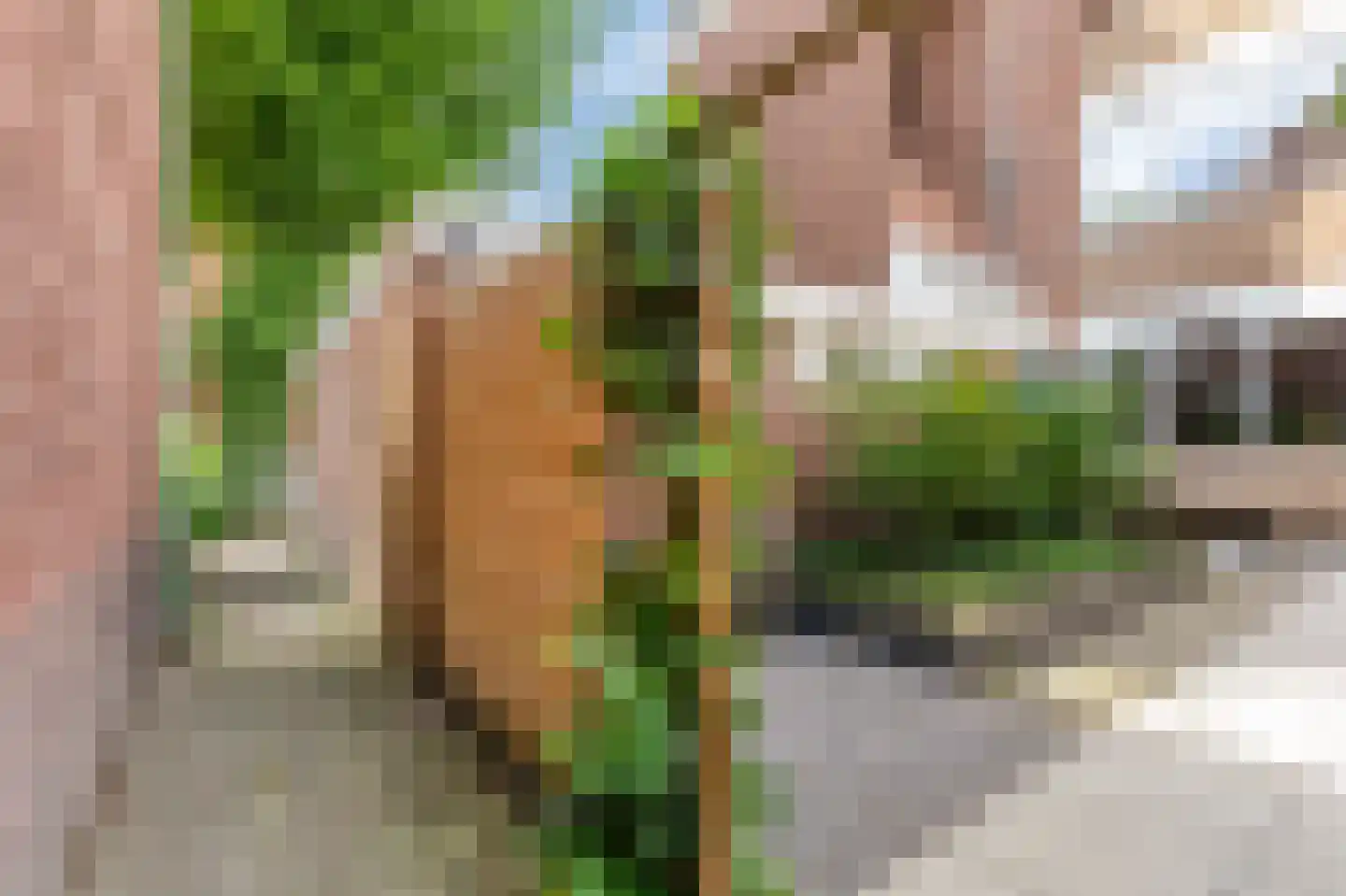 Novalaan 1 A Arnhem thumbnail 20
