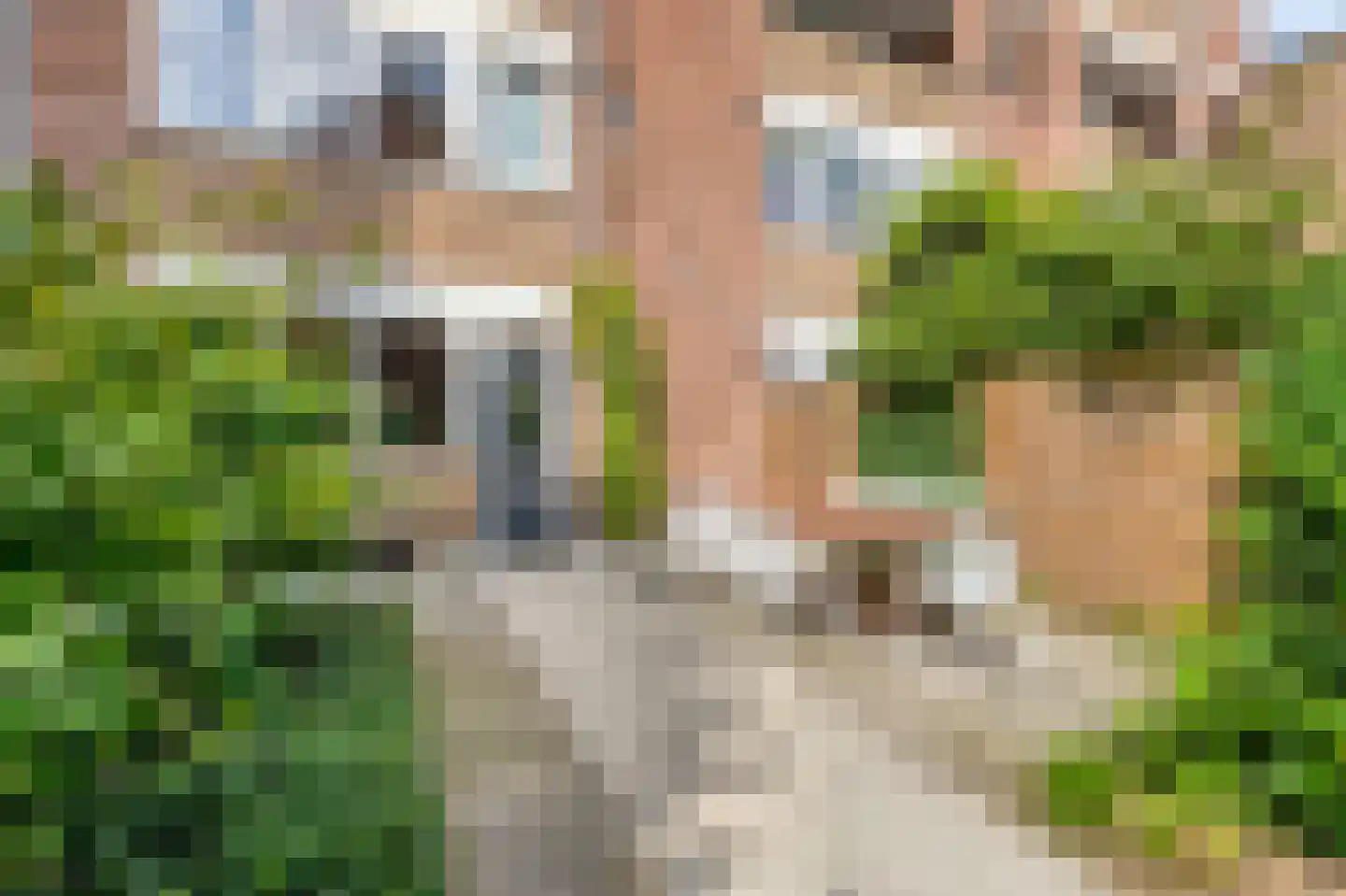 Novalaan 1 A Arnhem thumbnail 5