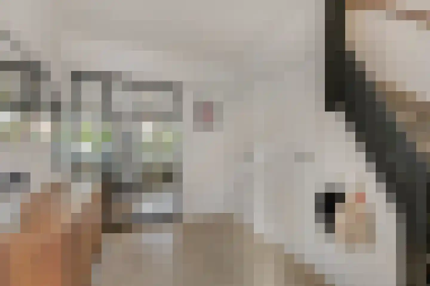 Novalaan 1 A Arnhem thumbnail 6