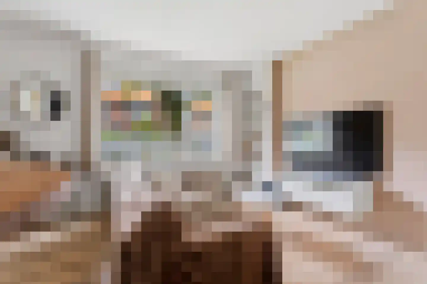 Novalaan 18 1 Arnhem thumbnail 8