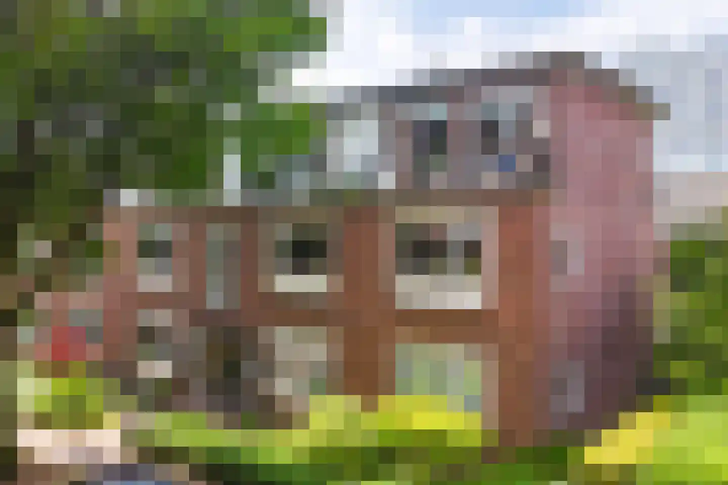 Novalaan 20 3 Arnhem thumbnail 30