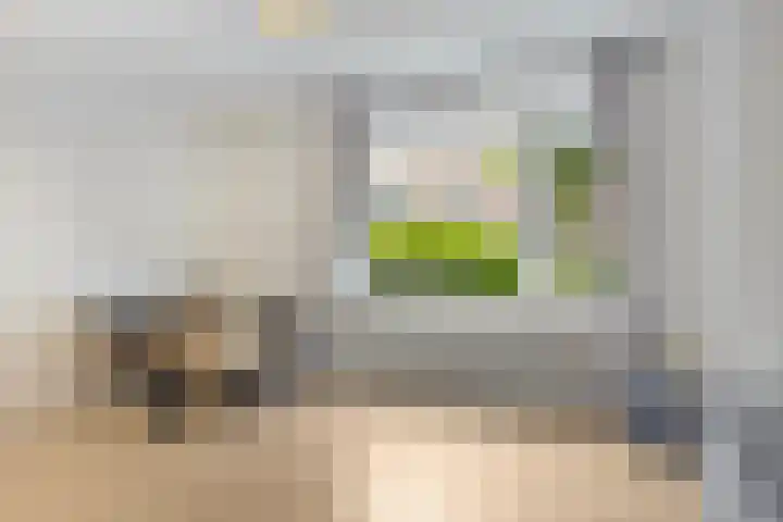 Novalaan 22 1 Arnhem thumbnail 5