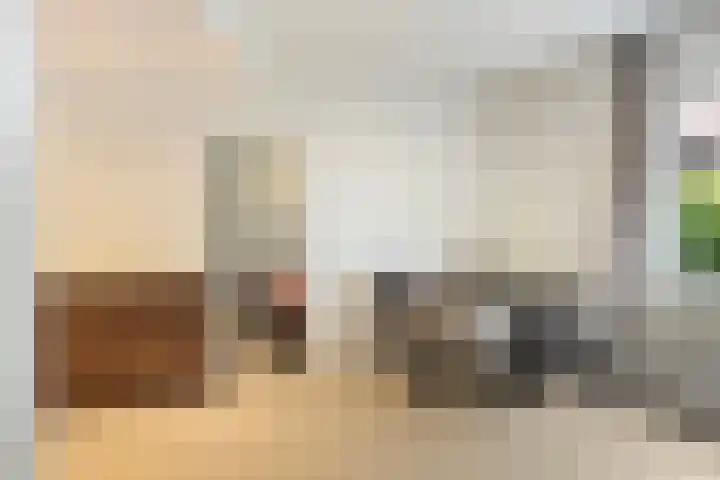 Novalaan 22 1 Arnhem thumbnail 6
