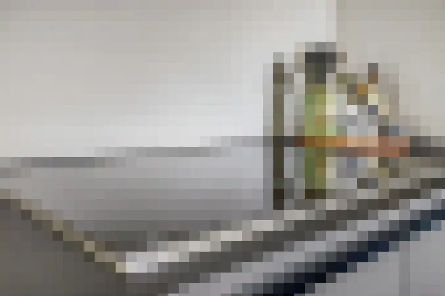 Novalaan 5 Arnhem thumbnail 10