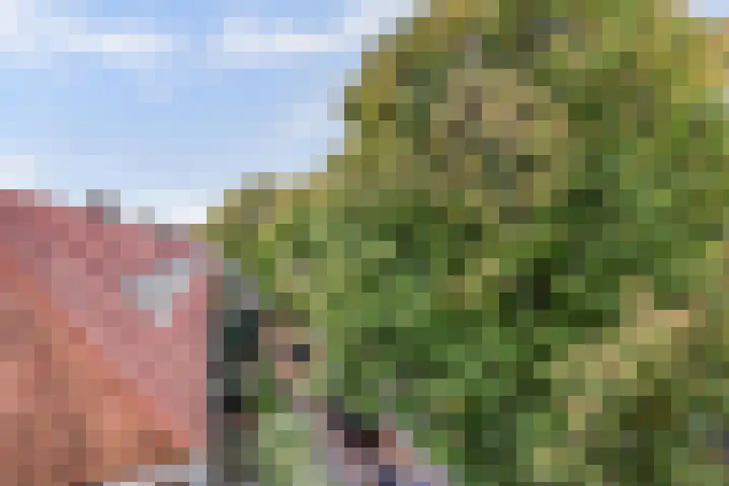 Novalaan 5 Arnhem thumbnail 28