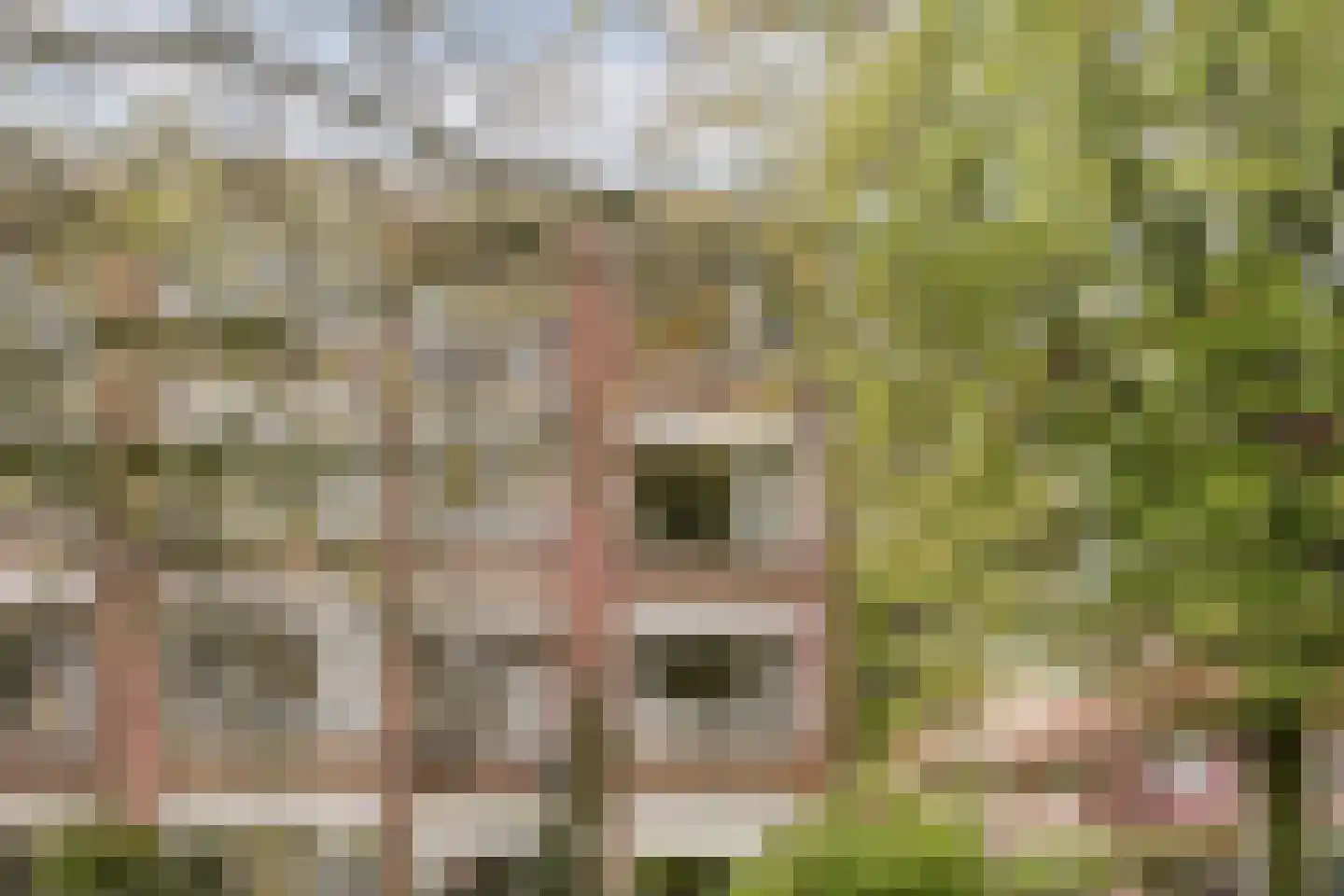 Novalaan 5 Arnhem thumbnail 31