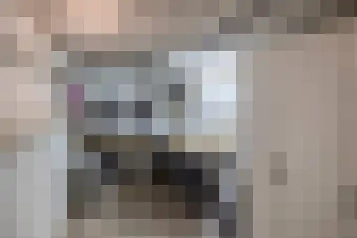 Novalaan 9 Arnhem thumbnail 27