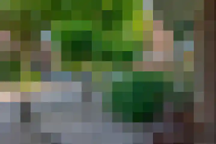 Novalaan 9 Arnhem thumbnail 34