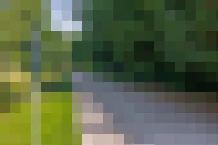 Novalaan 9 Arnhem thumbnail 37