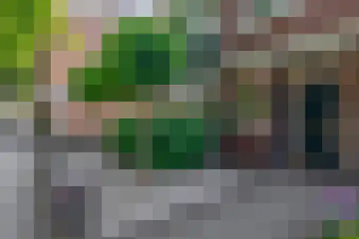 Novalaan 9 Arnhem thumbnail 5