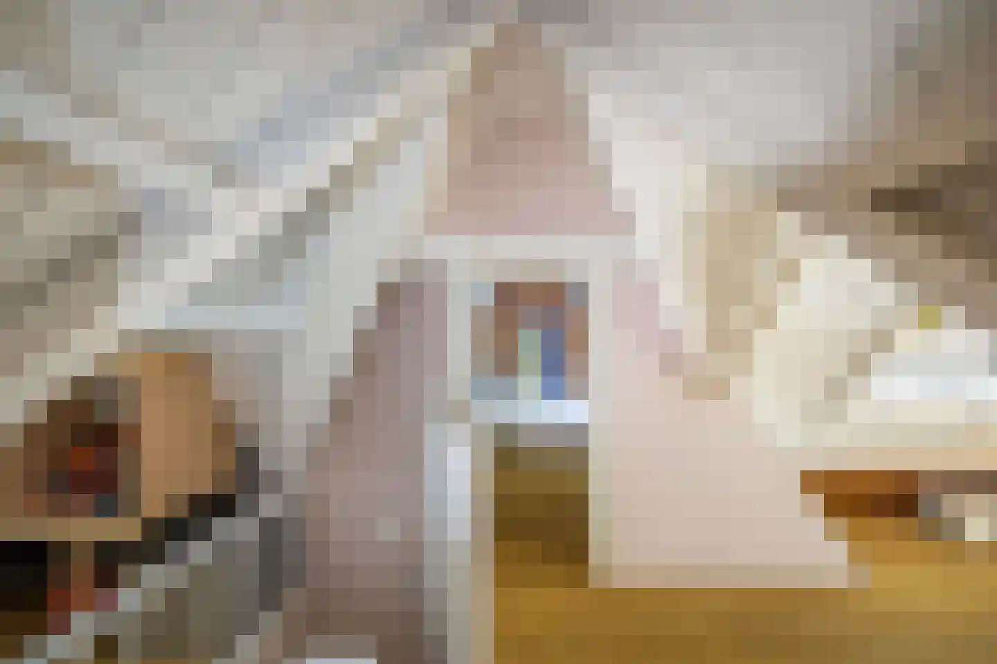 Novalieweg 36 Hattem thumbnail 36