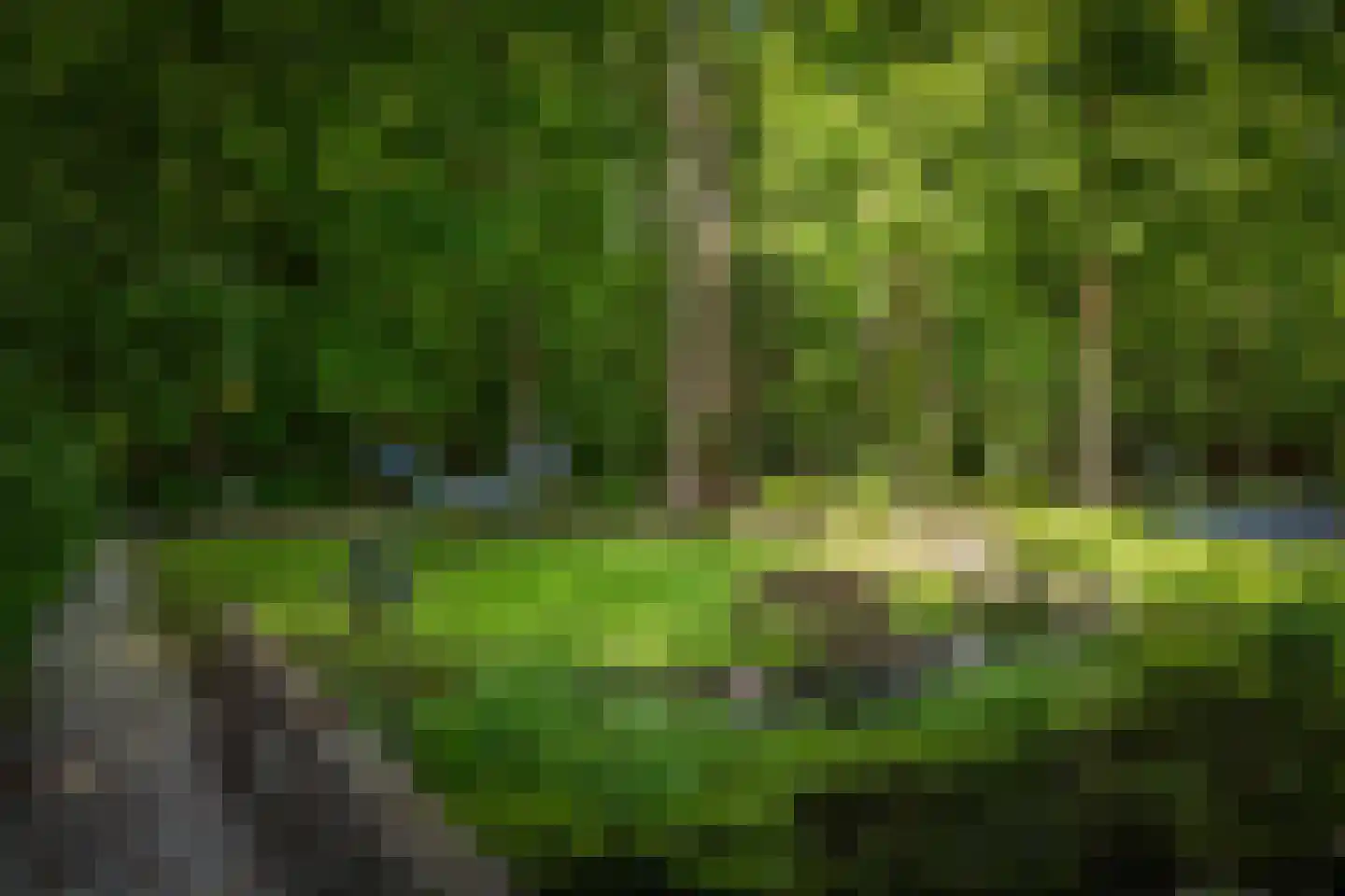 Novalieweg 36 Hattem thumbnail 49