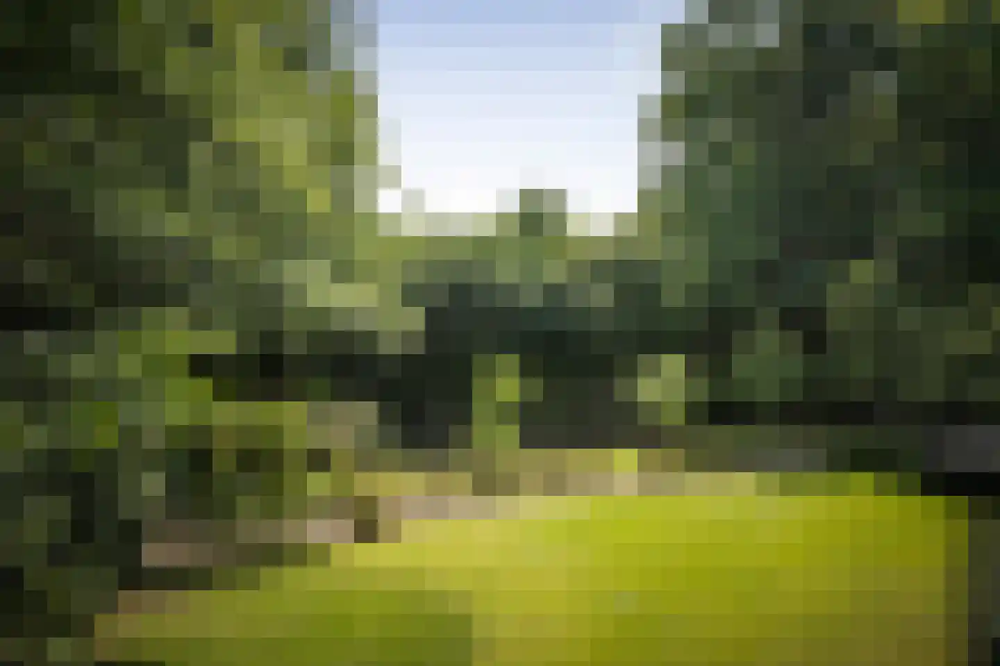 Novalieweg 36 Hattem thumbnail 56