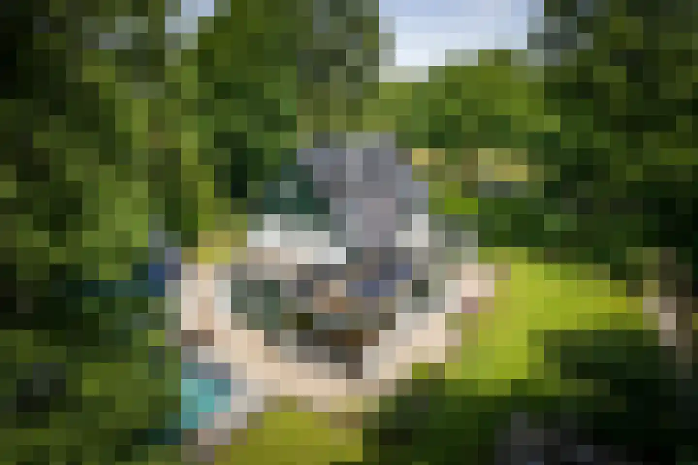 Novalieweg 36 Hattem thumbnail 7