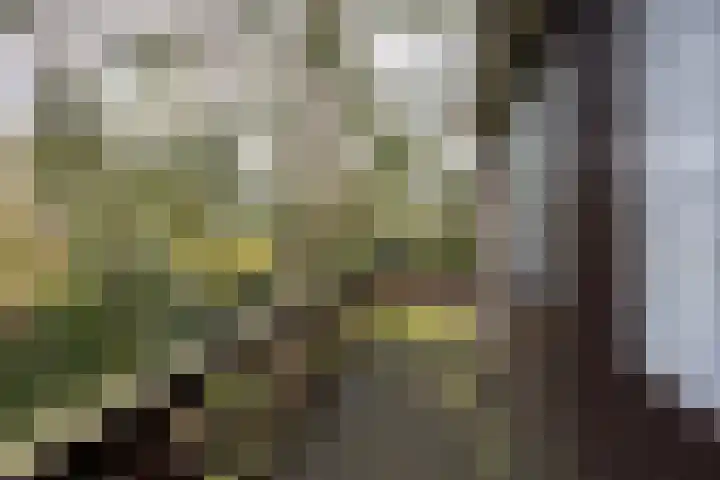 Novalieweg 8 Hattem thumbnail 26