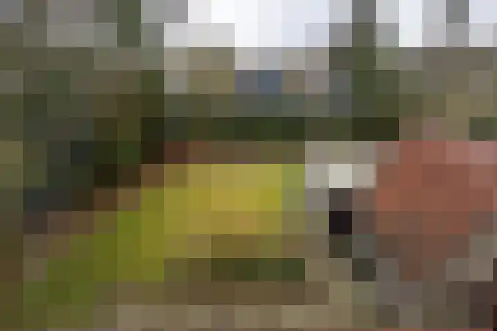 Novalieweg 8 Hattem thumbnail 30