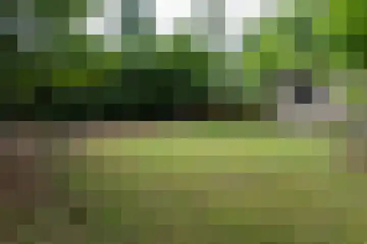 Novalieweg 8 Hattem thumbnail 32