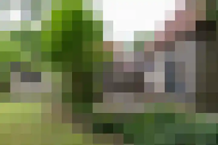 Novalieweg 8 Hattem thumbnail 33