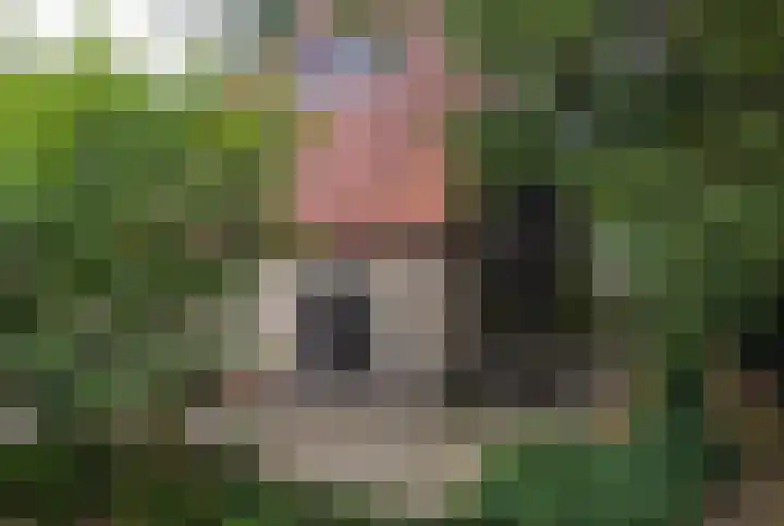 Novalieweg 8 Hattem thumbnail 34