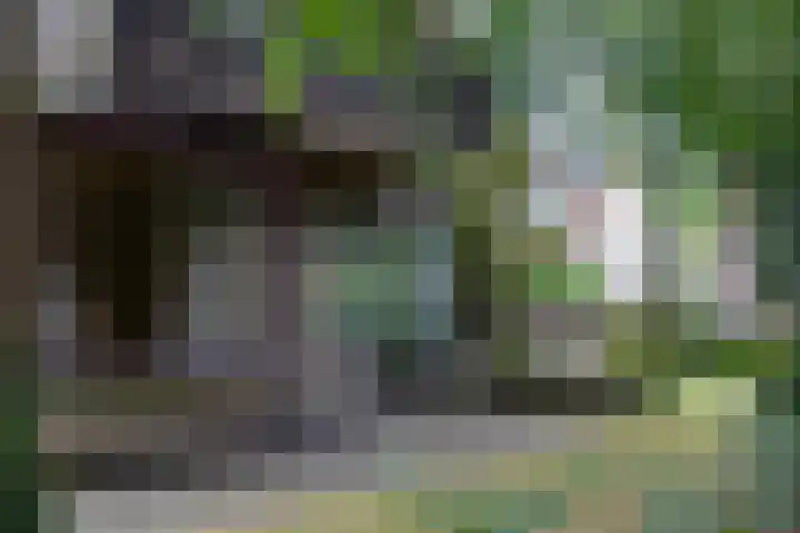 Novalieweg 8 Hattem thumbnail 35