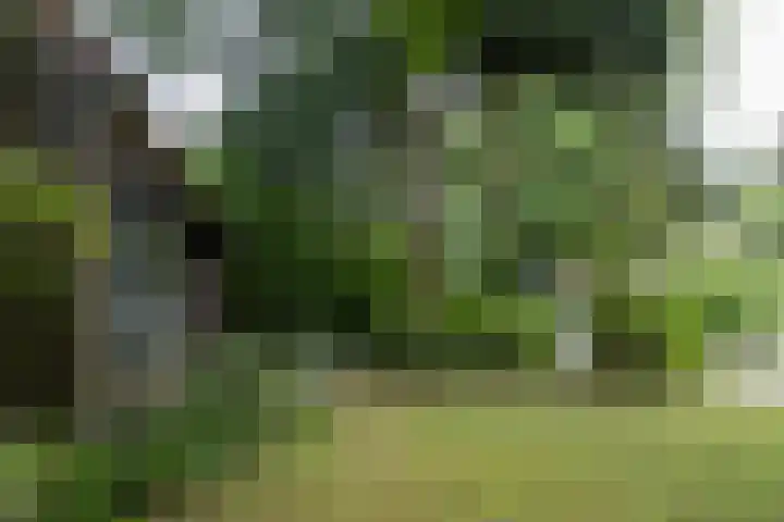 Novalieweg 8 Hattem thumbnail 37
