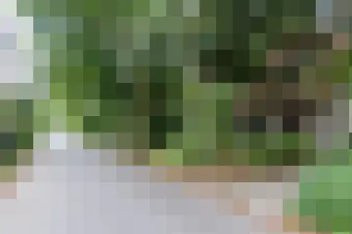 Novalieweg 8 Hattem thumbnail 39