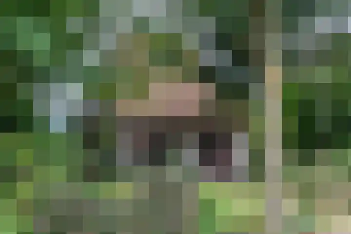 Novalieweg 8 Hattem thumbnail 4