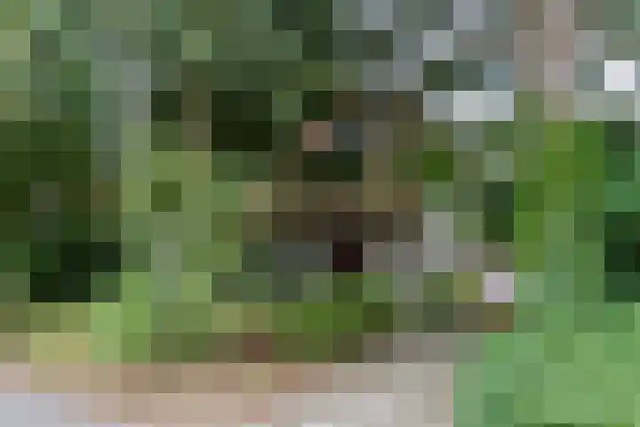 Novalieweg 8 Hattem thumbnail 5