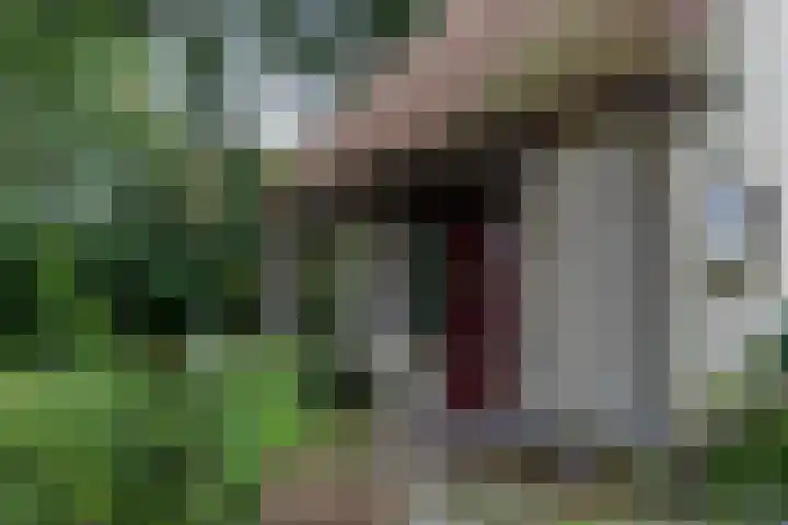 Novalieweg 8 Hattem thumbnail 6