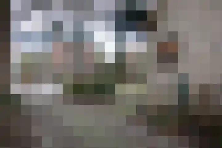 Novalieweg 8 Hattem thumbnail 7