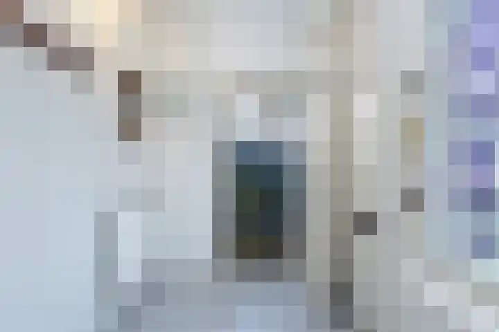 Novalieweg 8 Hattem thumbnail 9