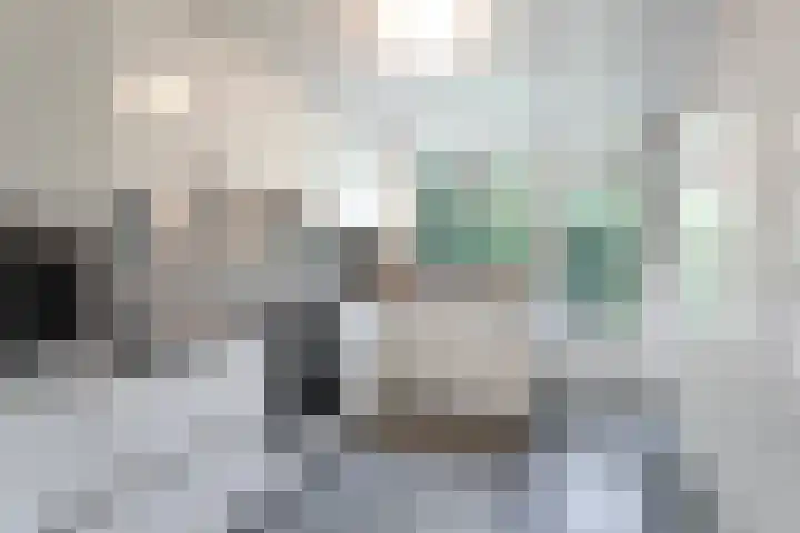 Novapad 11 Eindhoven thumbnail 15