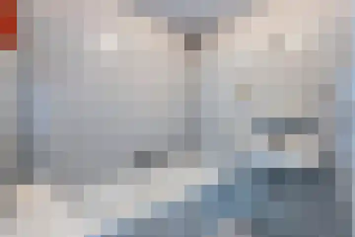 Novapad 11 Eindhoven thumbnail 23