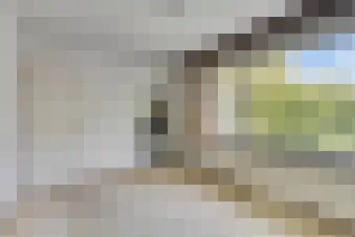Novapad 11 Eindhoven thumbnail 26