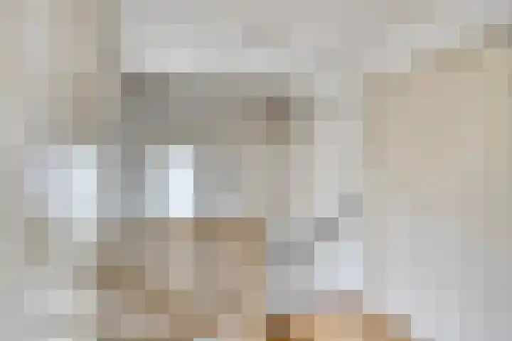 Novapad 11 Eindhoven thumbnail 27
