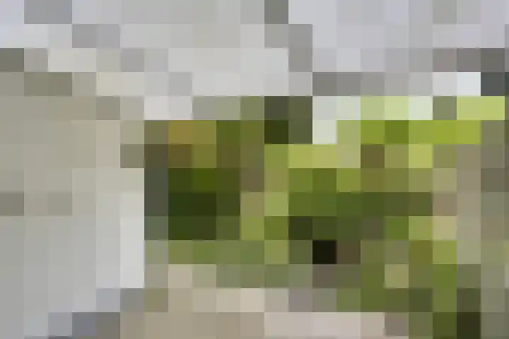 Novapad 11 Eindhoven thumbnail 31