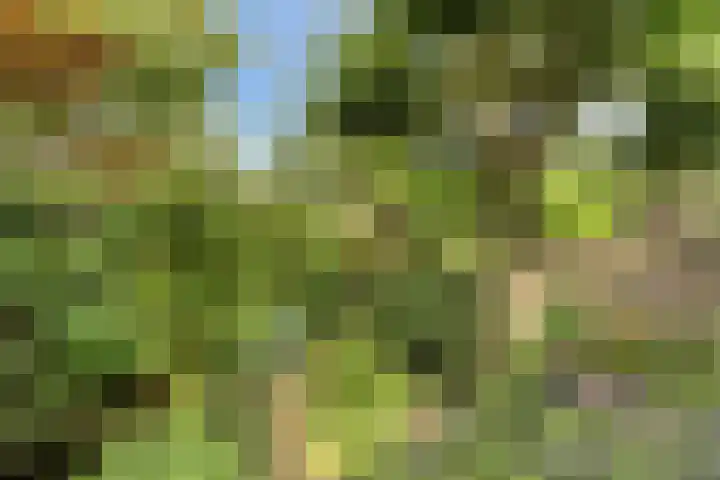 Novapad 11 Eindhoven thumbnail 32