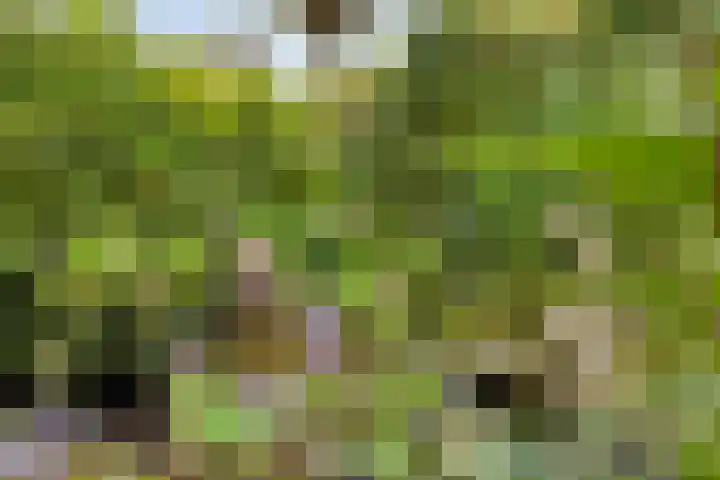 Novapad 11 Eindhoven thumbnail 33