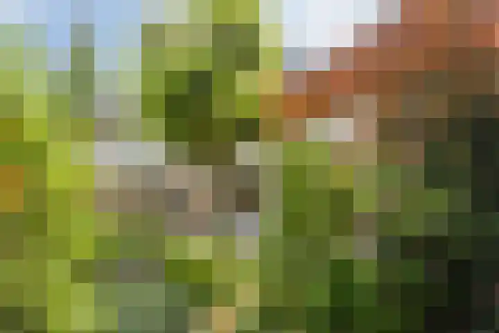 Novapad 11 Eindhoven thumbnail 34