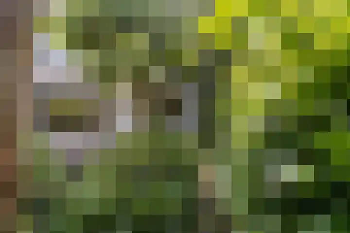 Novapad 11 Eindhoven thumbnail 35