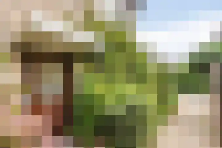 Novapad 11 Eindhoven thumbnail 5